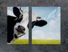 PLAQUE DE PROTECTION EN VERRE POUR PLAQUE DE CUISSON 70x52 VACHE