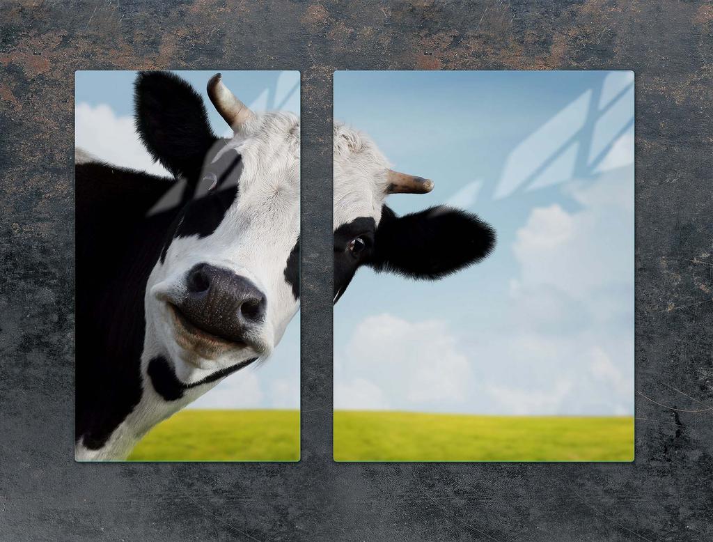 PLAQUE DE PROTECTION EN VERRE POUR PLAQUE DE CUISSON 70x52 VACHE