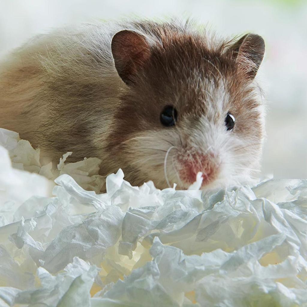 Animal Bedding 450g Wood Chips Odor Control Bunny Bedding For Ferret Bunny Gerbil Hedgehog Reptile Bird Pet Animal Sleeping