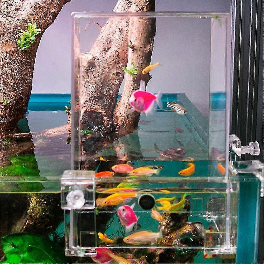 Above Water Fish Tank, Fish Elevator Inverted Aquarium, Transparent Fish 25-26