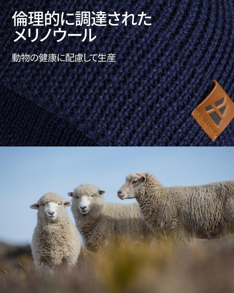 DANISH ENDURANCE Polar Fleece Merino Beanie Dark One Size Fits Most (Adult), 1-Pack, Gray,