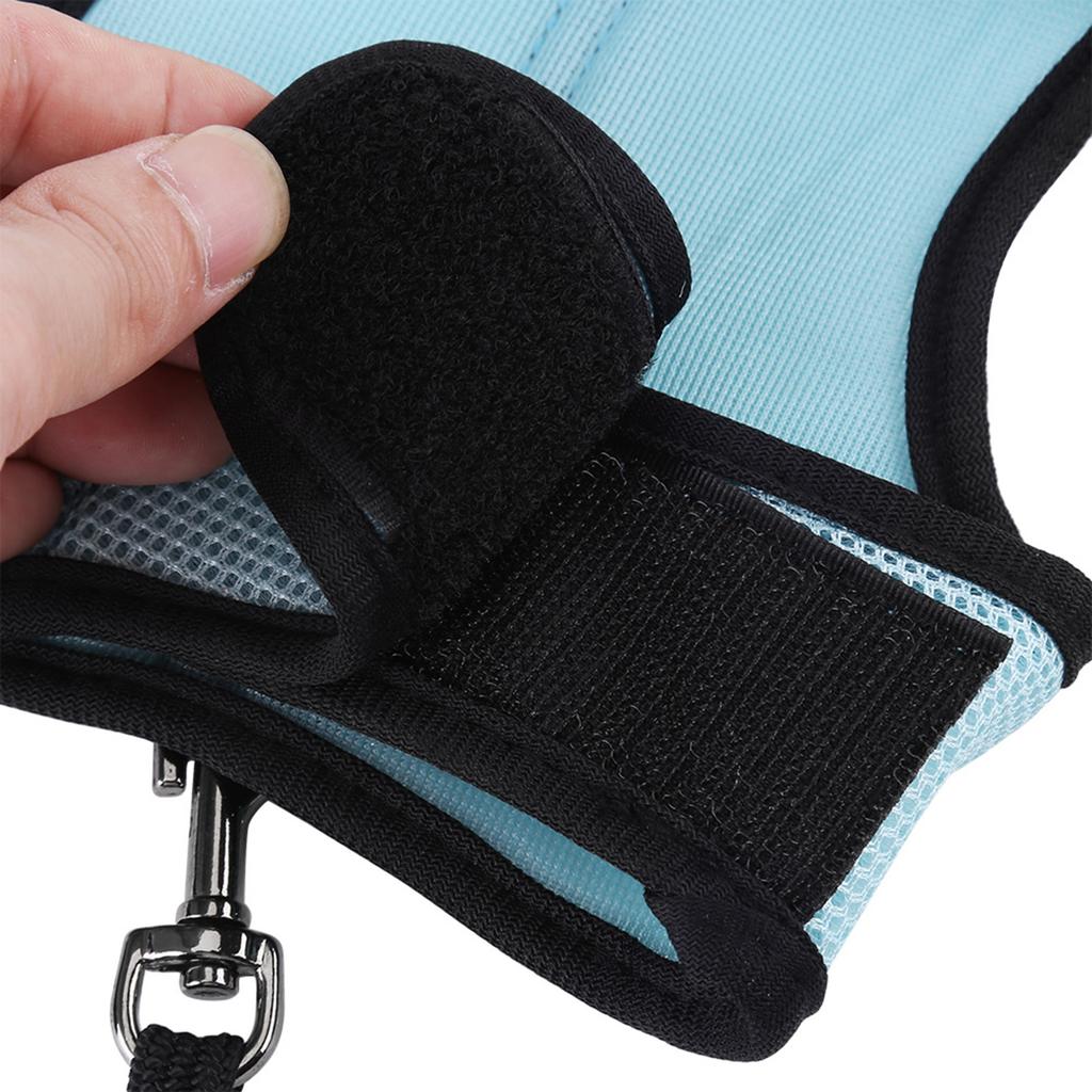 Hamster Rabbit Harness Set Small Animal Pet Safety Walking Vest With  Leash (Light Blue M)