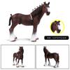 Oenux Farm Animals Steed Foal Clydesdale Arabian Horse Model Action Figures Equestrian PVC Collection Education Kid Toy Gift
