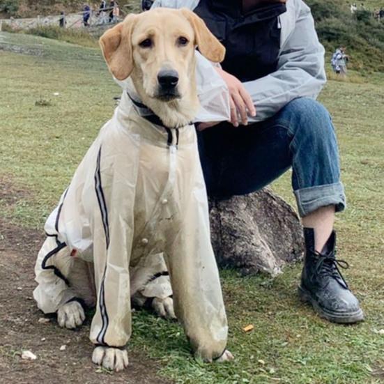 Yousheng Pet Raincoat Transparent Waterproof Hooded Dog Four-legged Rain Out Clothes for Small Large Dogs