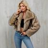 Women's Autumn and Winter New Imitation Fur Jacket Top, Women's Artificial Fur Short Plush Jacket