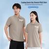 Custom Multi-Color Polo Shirt: Logo Print, Turn-Down Collar, Short Sleeve, Loose Fit, Embroidery