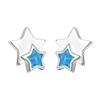 S simple temperament star stud earrings inlaid with five-pointed stars niche cold