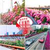 Outdoor Railing Saddle Planter