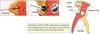 Taiyo Electric Industry (goot) Wire Stripper YS-1