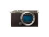 Panasonic LUMIX DC-S9M-N Full-Frame Mirrorless Camera Kit Wide-Angle Zoom Lens Titanium Gold