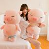 60/70cm Cute Soft Rogue Beach Pig Plush Toys Office Nap Stuffed Animal Pillow Home Comfort Cushion Christmas Gift Doll Kids Girl