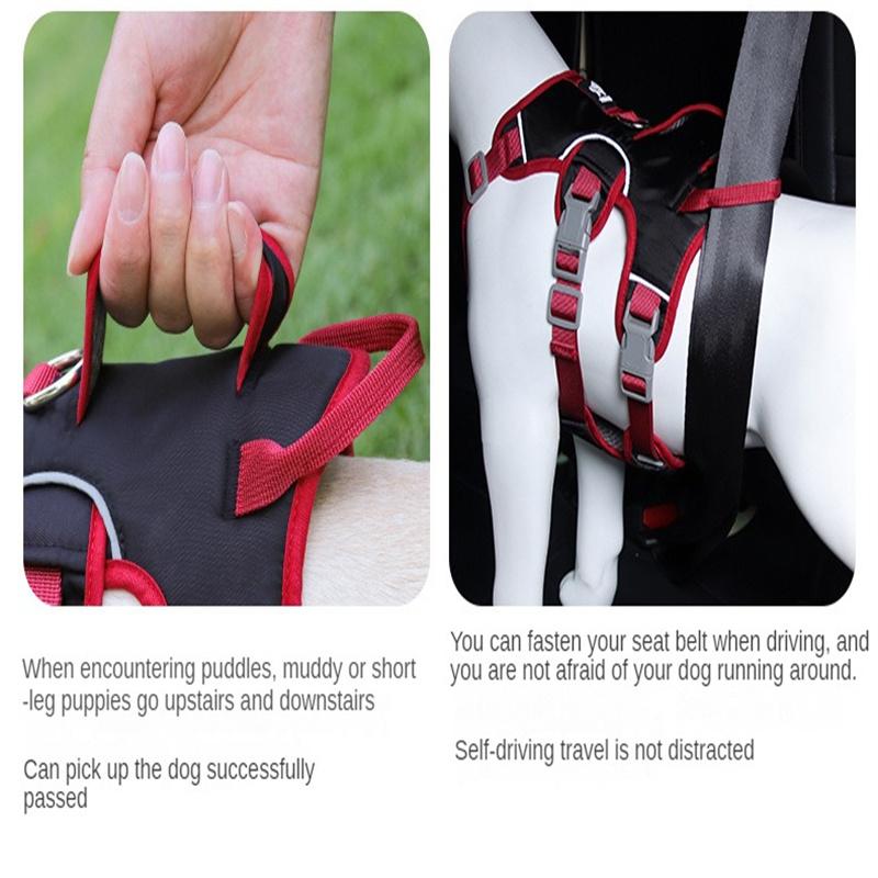 Dog Leash Small and Medium Dogs Pet Chest Strap Reflective Protection Shock Absorption Dog Chest Pet Leash Leash