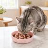Katten – Kattenvoer- en drinkbakken