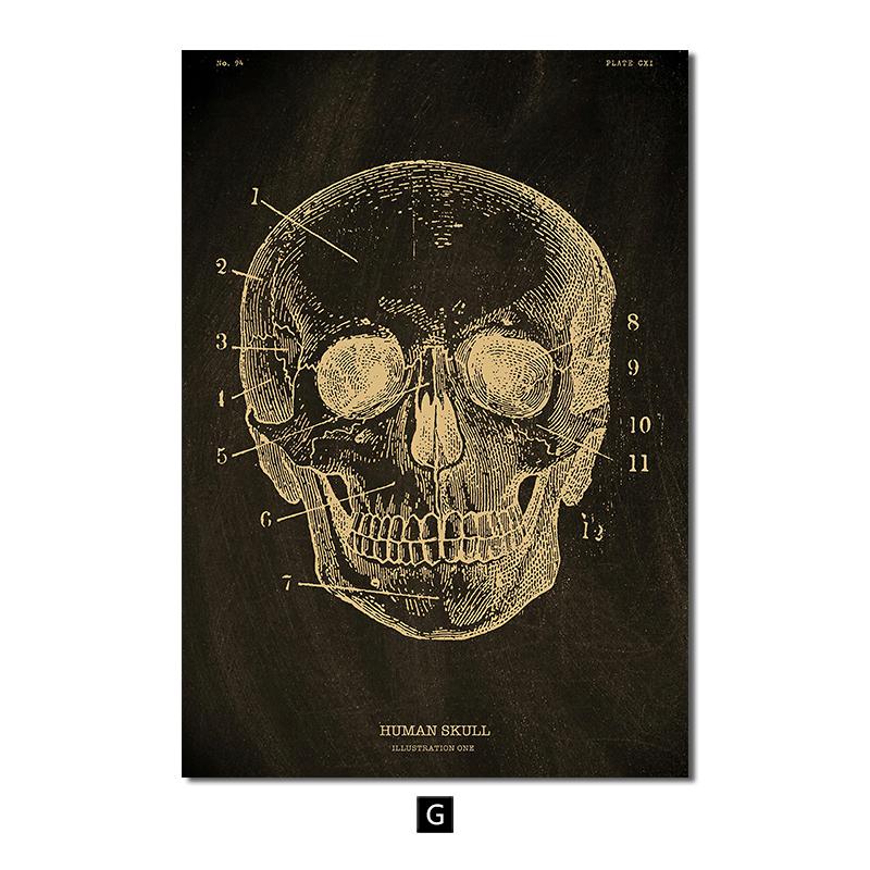

Анатомия человека, винтажный постер, скандинавский холст, художественный принт, золотой скелет, органы, живопись, настенные панно, медицинский домашний декор 30x40cm No Frame