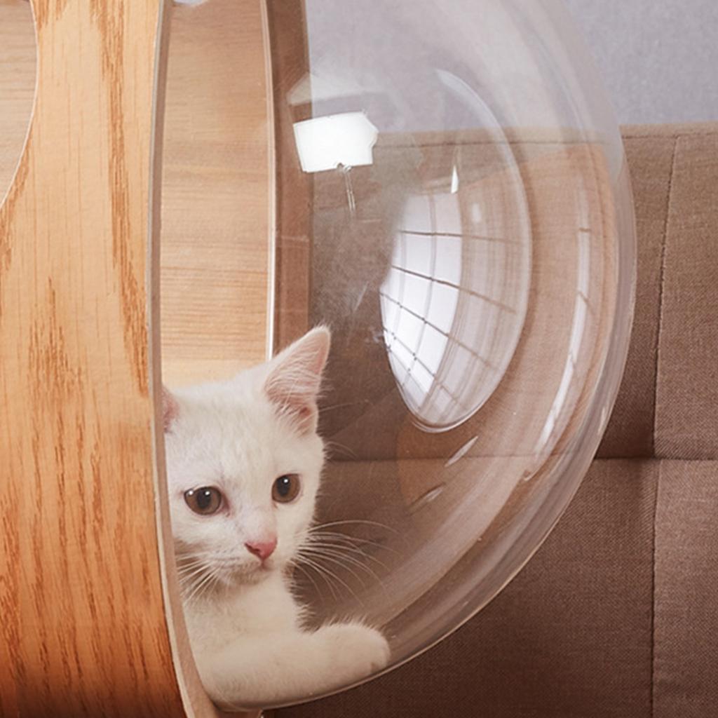 Γάτα Διάστημα Διαφανής Κάψουλα Έπιπλο Αντοχή Τάσης Υλικό Προστασίας Περιβάλλοντος Ακρυλικό Βάση Κρεβατιού Ελαφρύ Ανταλλακτικό