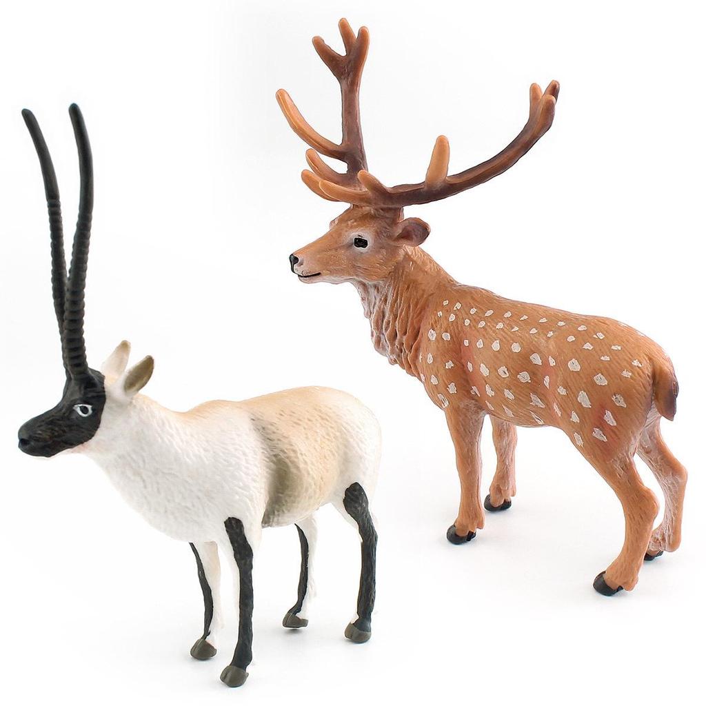 Wild Forest Animal Model Educational Toy: Tibetan Antelope & Sika Deer