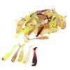 50Pcs Soft Bait Silicone Flat Tail Simulated Actions Flexible Fishing Soft Lure for Bass 5cm