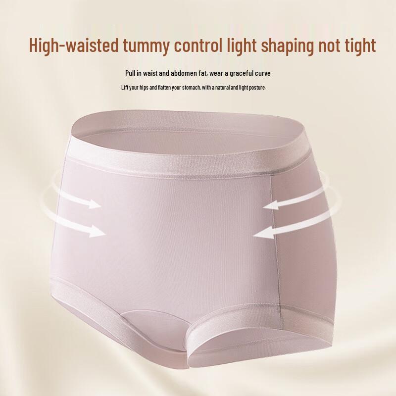 Regal Ladies Modal High-Waist Seamless Briefs 3-Pack