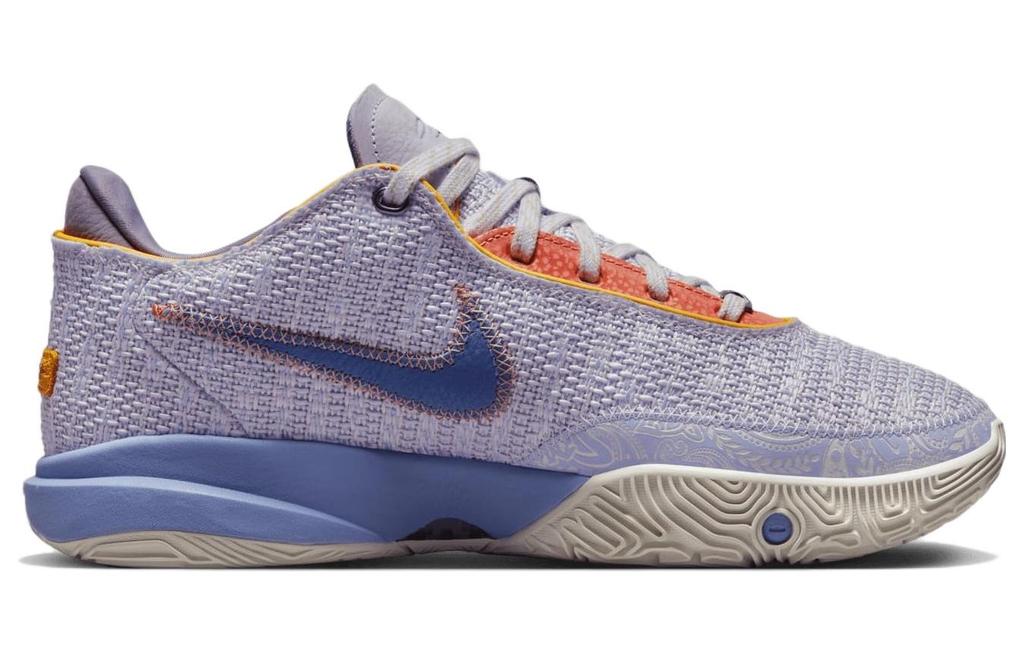 Nike LeBron 20 EP "Purple And Gold" DJ5422-500