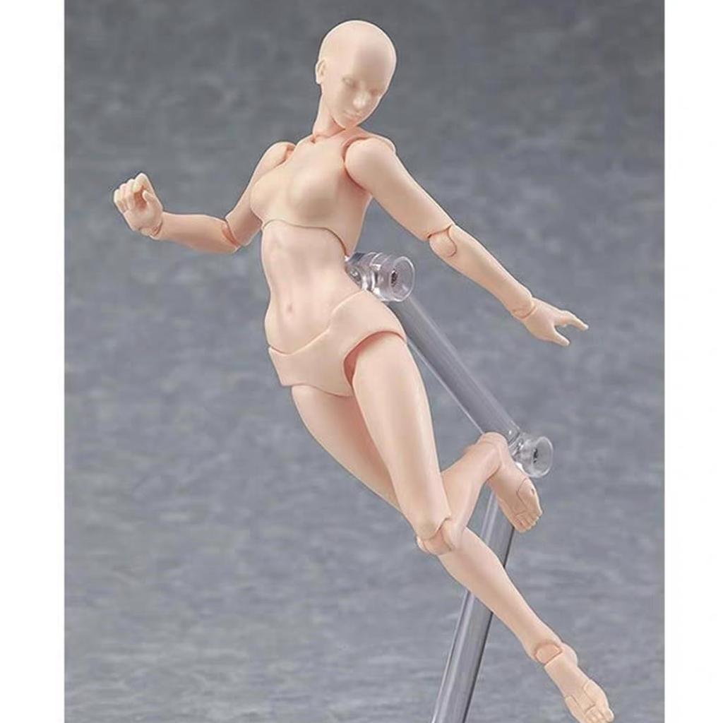 koundeneko Drawing Doll with Stand, Female Model, Manga Figure, Movable Joints, Freely Adjustable Posture, Muscle Style, Perfect for Posing Practice,