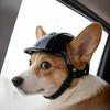 Haustierhelm Kante Mamu Corgi Hund Helm Durchlass Ohr Hartschalenhelm Outdoor Radfahren Lokomotive Hut