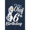 Frozen Childrens/Kids Chillin Like Olaf 6th Birthday T-Shirt