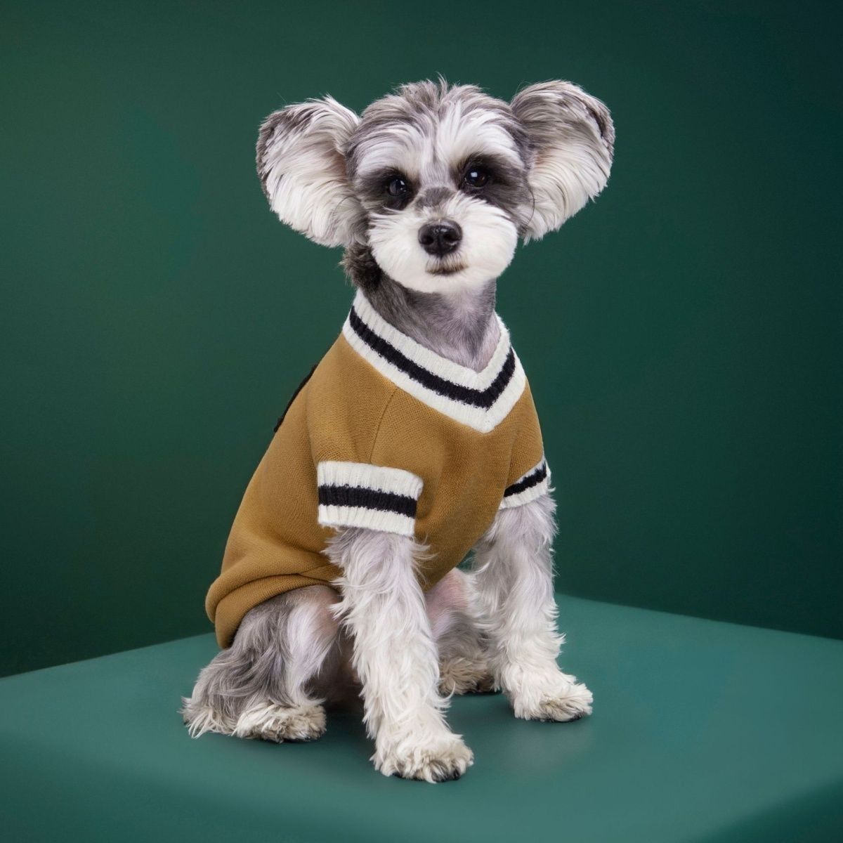 

Dog Clothes, Autumn Internet Celebrity Cats, Puppies, Pets, Cute Corgis, Border Collies, Winter College Style, Winter Autumn XS1kg