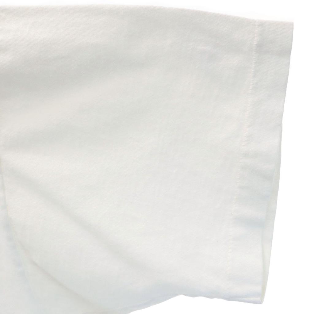 FRUIT OF THE LOOM 90s Made in Canada Old MICHAEL MCLEAN'S Short sleeve T-shirt Men's Used