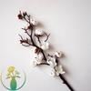 Artificial Peach & Plum Blossom Tree Ornaments – Chinese New Year Decorative Flower Arrangement