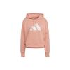 Sweatshirts Women's Pink Hooded Moderate Regular H24082