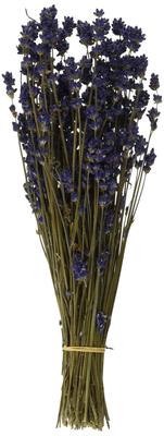 Daichi Farm Dried Flower Lavender N 30g DO10020-000