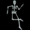 Premium Quality Luminous Hanging Human Skeleton Ideal For Halloween And Party Decor