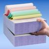 Donglin No-Tear Edge Pinfeed 3-Part, 2-Equal Sections Computer Print Paper Delivery Note