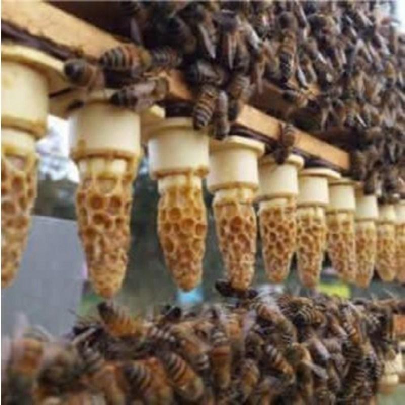 Hampyeong Clean Honey Domestic Pure Natural Nectar Honey 2.4kg Aged Honey Quality Assurance Health Gift