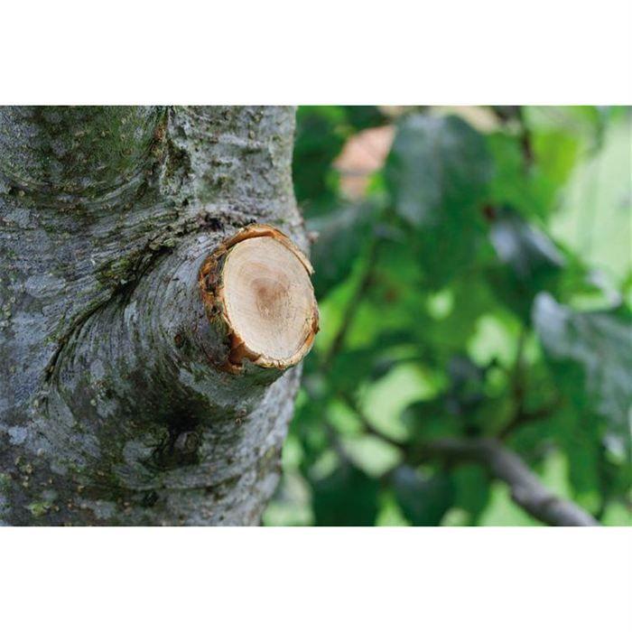 GARDENA Coupe-branches à enclume SmartCut Comfort – Lame enclume auto – Coupe Ø45mm max – Anti adhérence – Garantie 25 ans (8773-20)