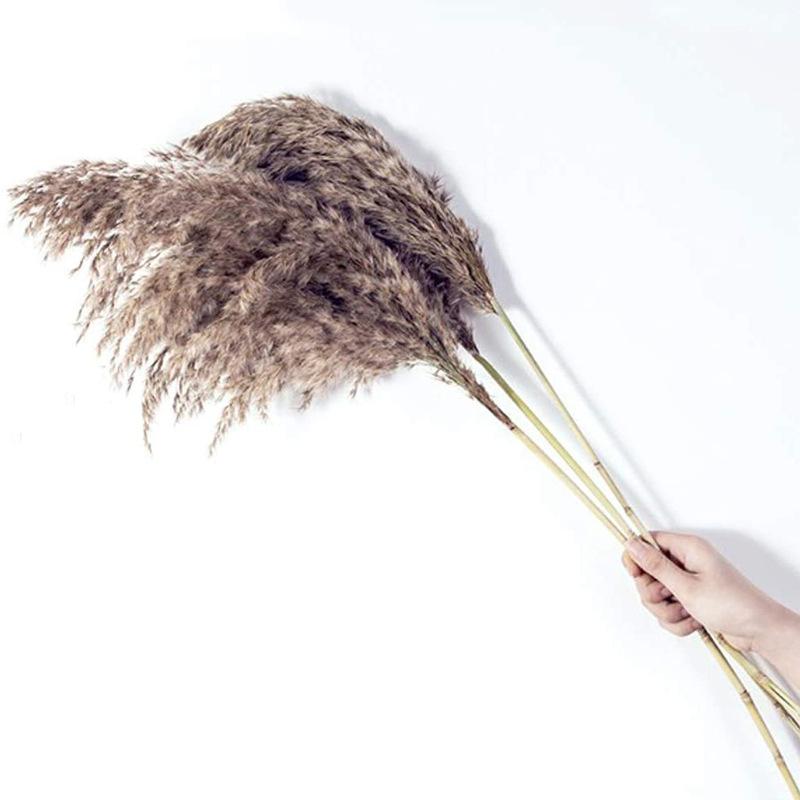 

Букет из сушеных камышей, Домашнее свадебное украшение Мягкий декор Пушистая пампасная трава Сухоцветы