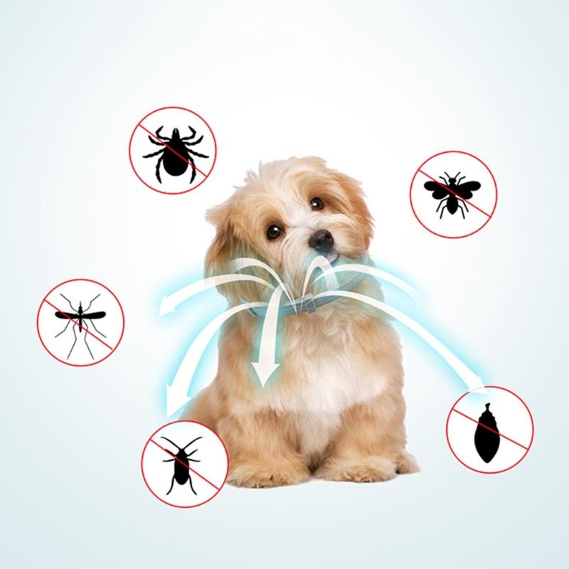 Flea & Tick Collar for Dogs and Puppies Flea and Tick Prevention for Protections Adjustable Flea and Tick Collar