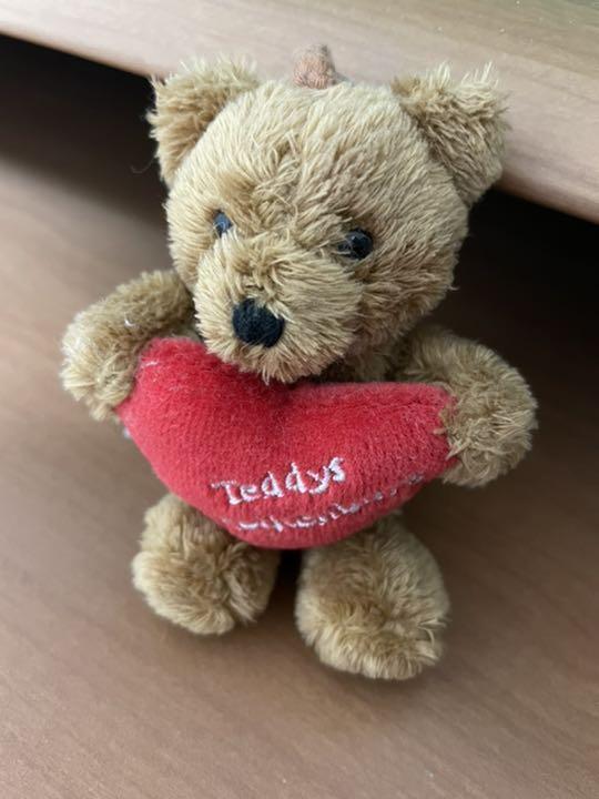 

[USED] Rothenburg Teddy Bear Keychain