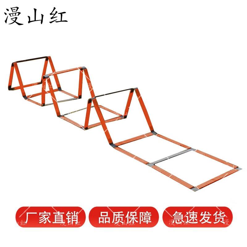 Multi-functional Agility Training Ladder