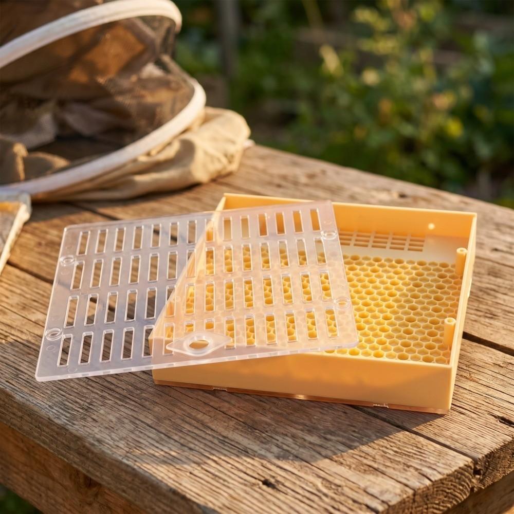 Durable Queen Bee Rearing Kit Cupular Queen Rearing Box Queen Rearing Cell Cupkit Beekeeping