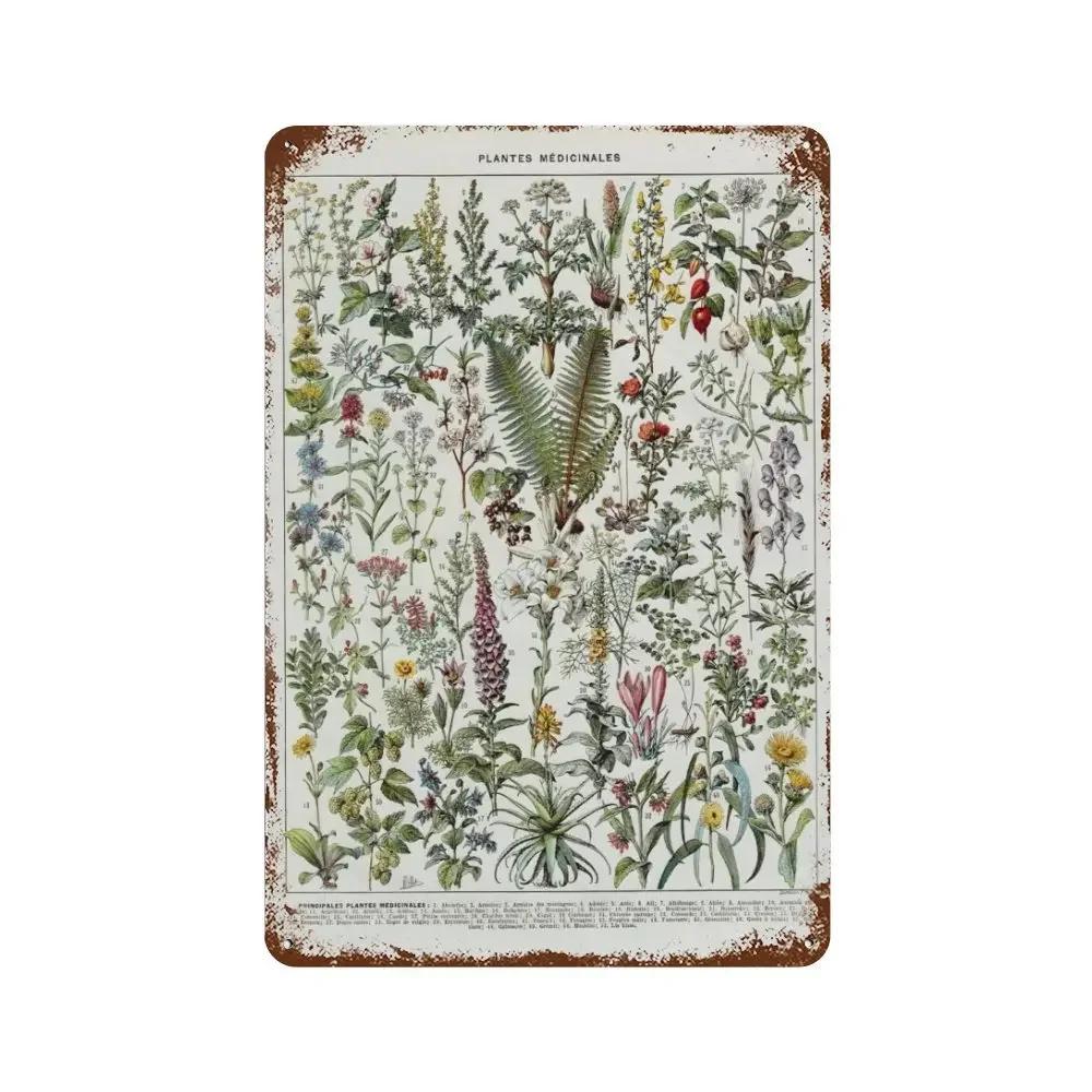 Vintage Mushroom Medicine Flower Insect Butterfly Vegetable Pumpkin Carrot Metal Aluminum Signs Home Room Garden Wall Art Pla