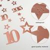Pink Rose Gold 10th Birthday Decorations for Girls, Pre-Strung Glitter Twinkle Number 2015 10 Years Old Hanging Streamer Banner Party Supplies, Pink