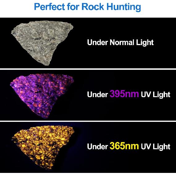Vansky X7 Pro 365nm UV Light Blacklight Flashlights: LED Black Light Flashlite Professional Ultraviolet Flashlight Pet Urine Detector for Dog Cat,