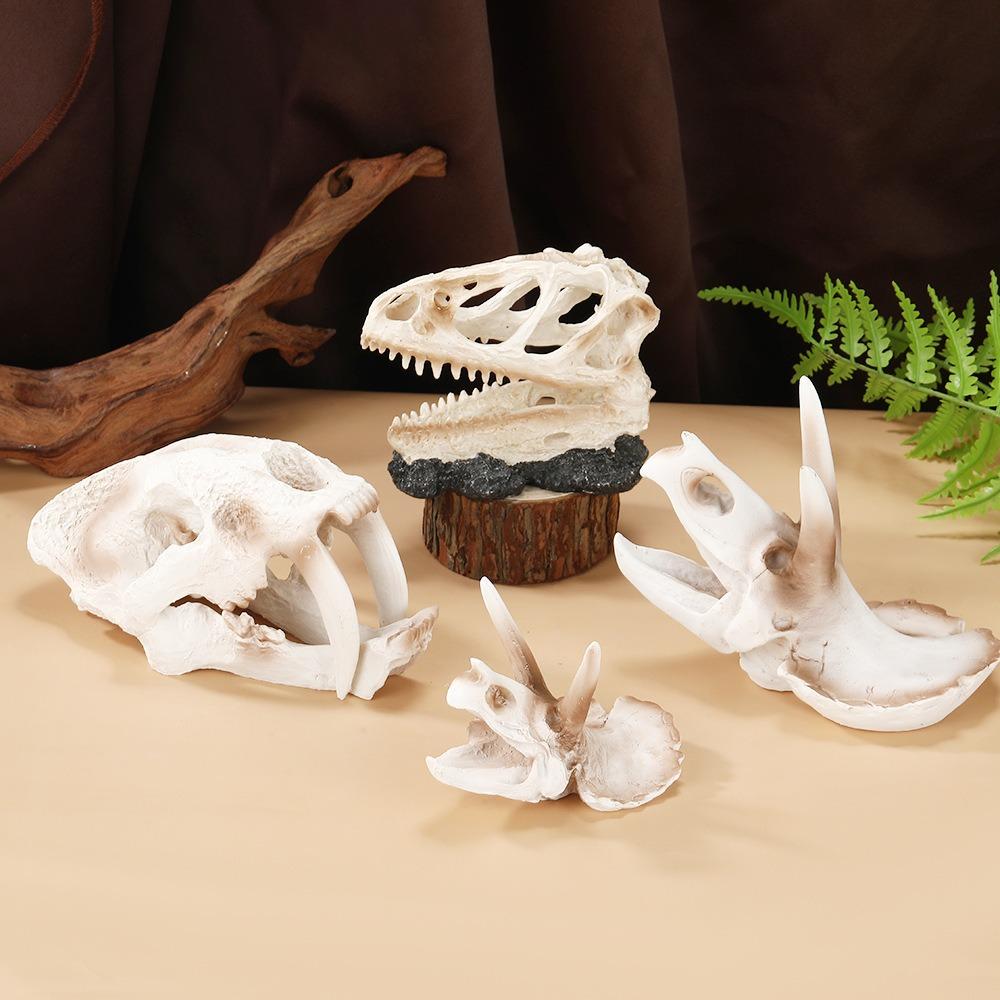 Resin Dinosaur Skeleton Lifelike Dinosaur Head Skull Ornament Animal Skull Ornament  Aquarium