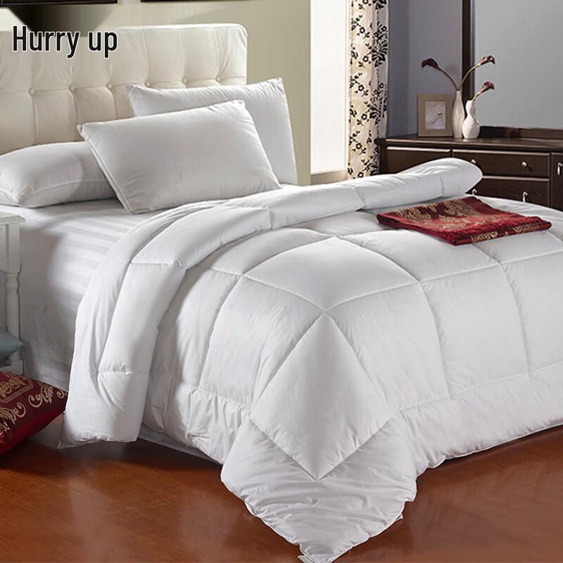 Yiyiai Hotel & Apartment All-Season Duvet Insert