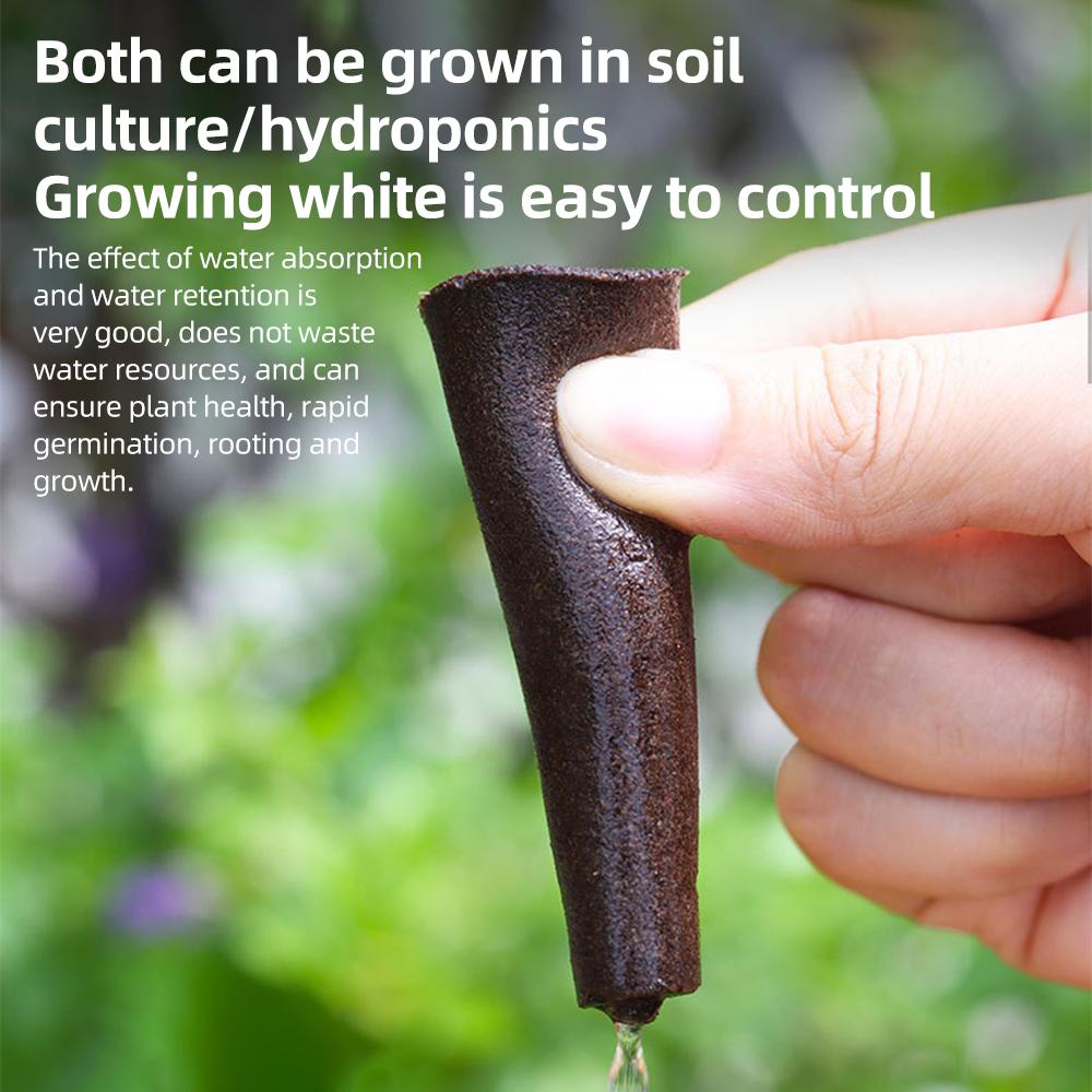 161Pcs Hydroponics Growing System Kit Hydroponic Planting Machine Set Soilless Cultivation 30 Grow