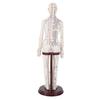 20.5 Inch Acupuncture Model Accurate Full Body Human Acupoint Model with Base Rotatable Arms for Teaching Student Demonstration White Hard