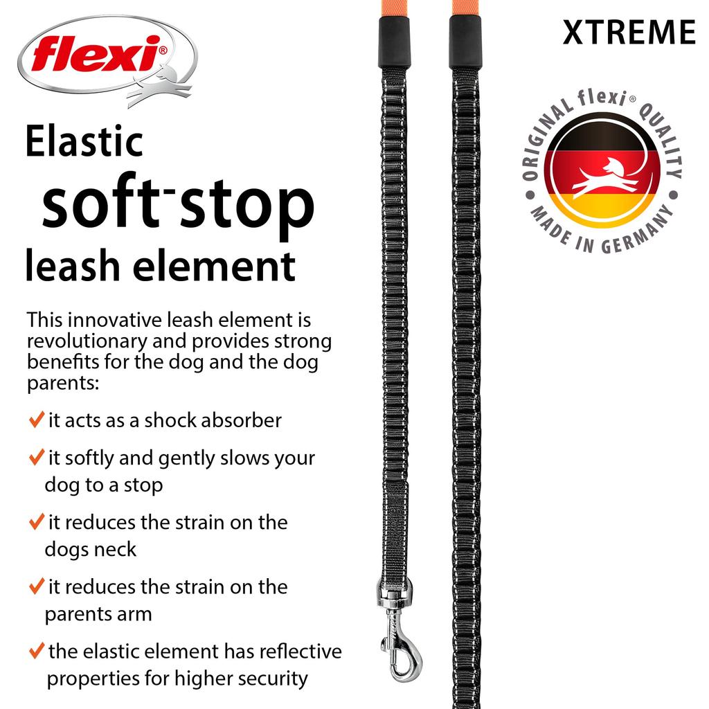Flexi Retractable Lead Extreme Tape Size 5m [Dog Lead] (S (Under 20kg))