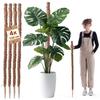 Wood-Coconut Plant Stake 120cm Potted Support 4pcs