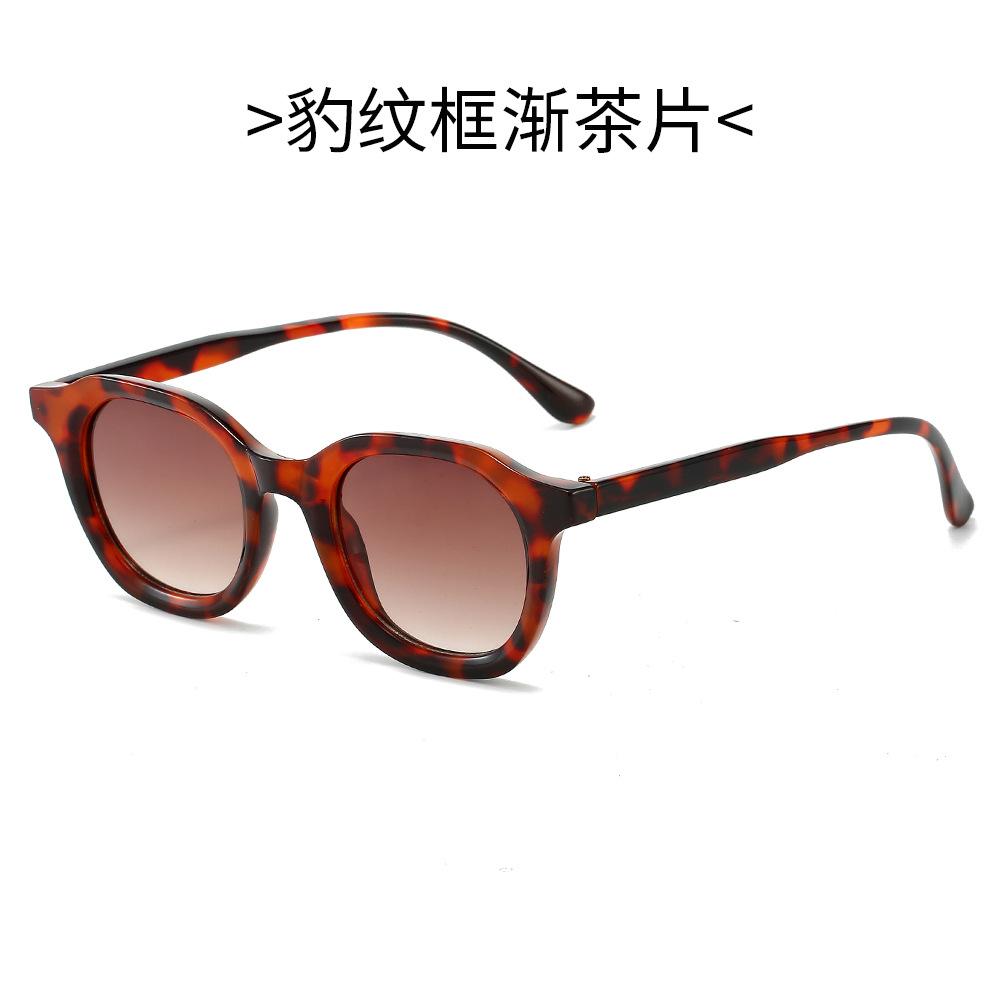 Retro Oval Sunglasses Stylish Minimalist Round Shades for Women Men Fashion Eyewear